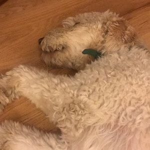 Meet your Posher, Andrew